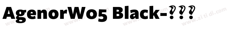 AgenorW05 Black字体转换
